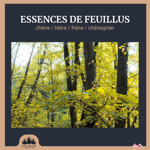 25 L - Bois de chauffage
